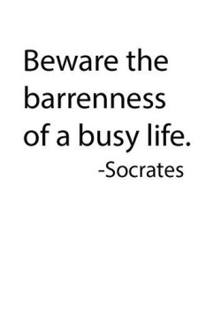 Beware the bareness of a busy life