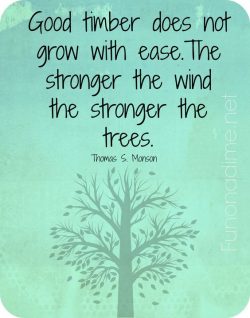 Good timber does not grow with ease. The stronger the wind the stronger the trees.