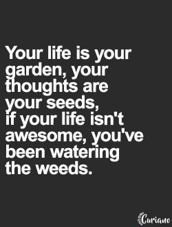 Your life is your garden, your thoughts are your seeds, if your life isn’t awesome, you ...